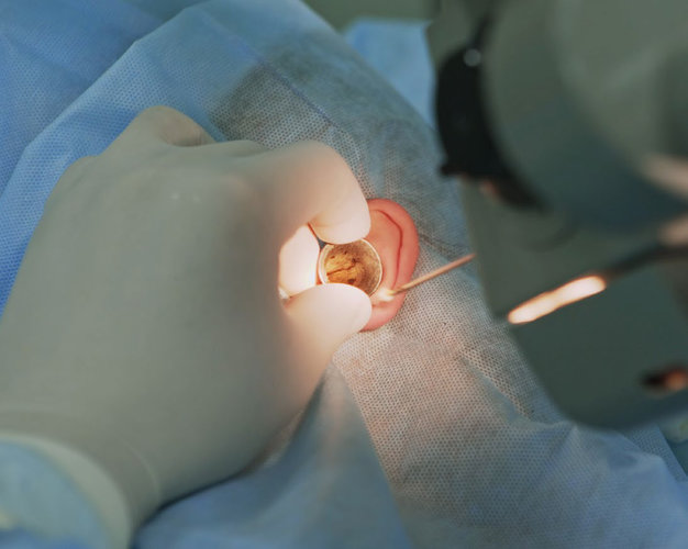 Lebensqualität zurückgeben